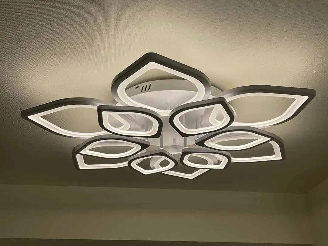 Fashionable and functional LED Water Ren Ceiling Light Flower shape Northern Europe | おしゃれで機能的 LED 水連 シーリングライト 花形 北欧