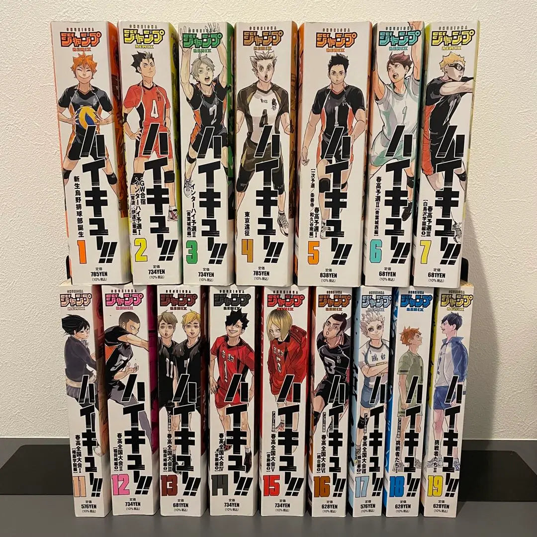 Haikyu Remix version of all 16 books