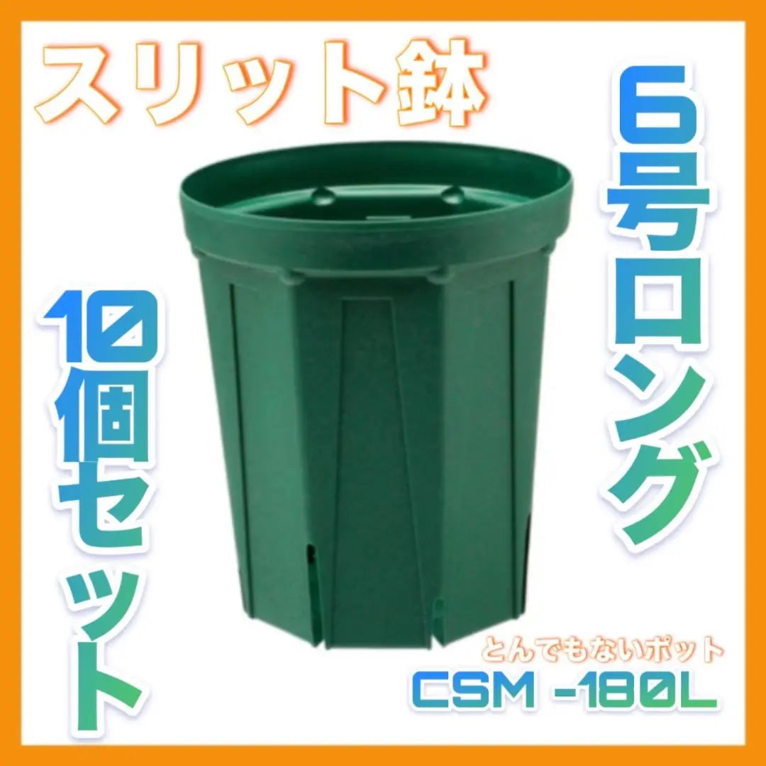 [Set of 10] Amazing pot slit bowl, 6-size long CSM-180L