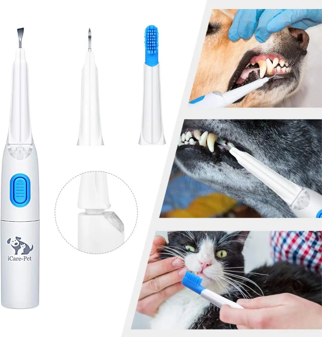 [525] Dog electric toothbrush, dog, cat