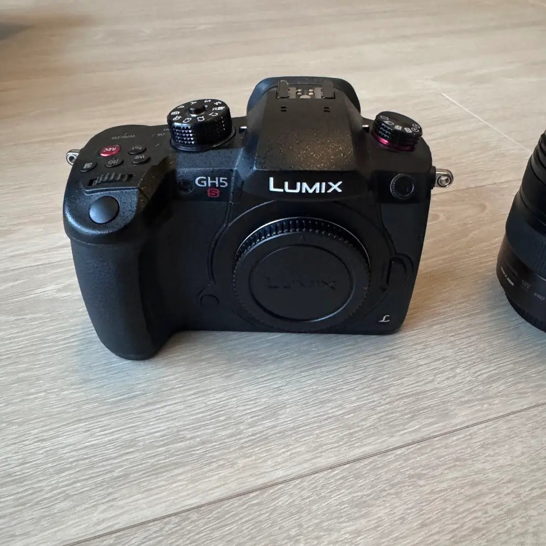 LUMIX G DC-GH5S + 12-35 mm F2.8 II | LUMIX G DC-GH5S + 12-35 mm F2.8 II