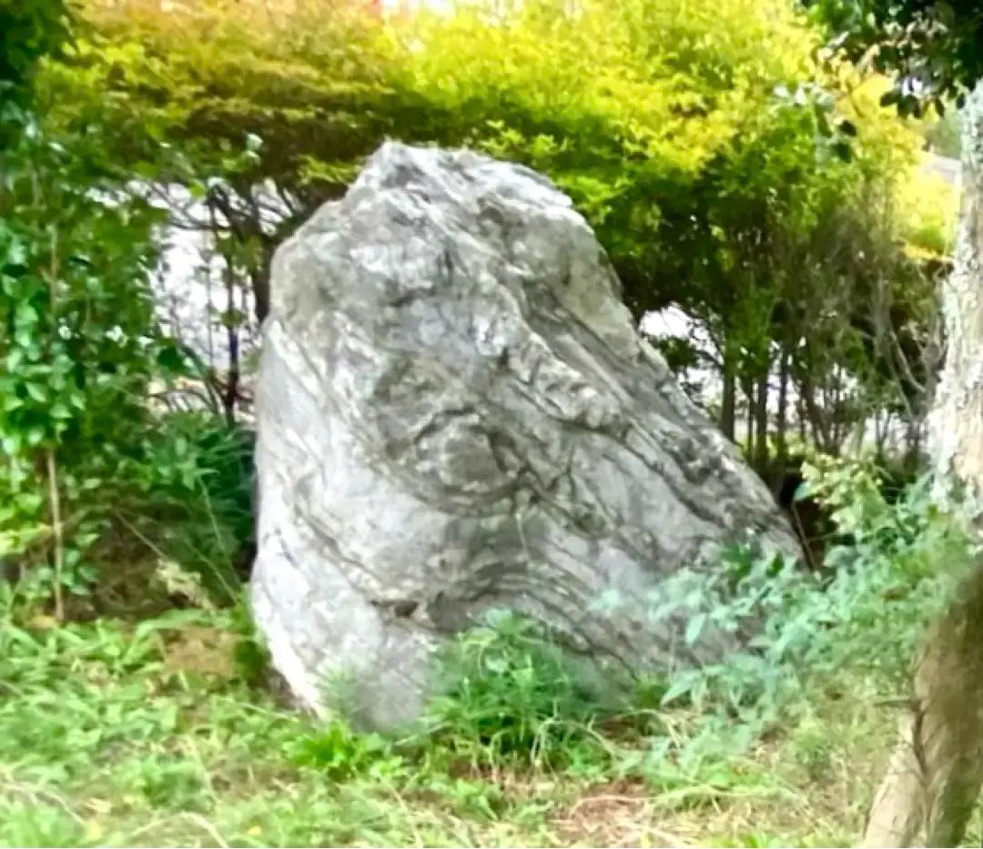 Piedra de Jardín Piedra Natural Grande Gris Aproximadamente 150 × 80 × 100㎝ | 庭石 自然石 大きめ グレー 約150×80×100㎝【石川県引き取り限定】