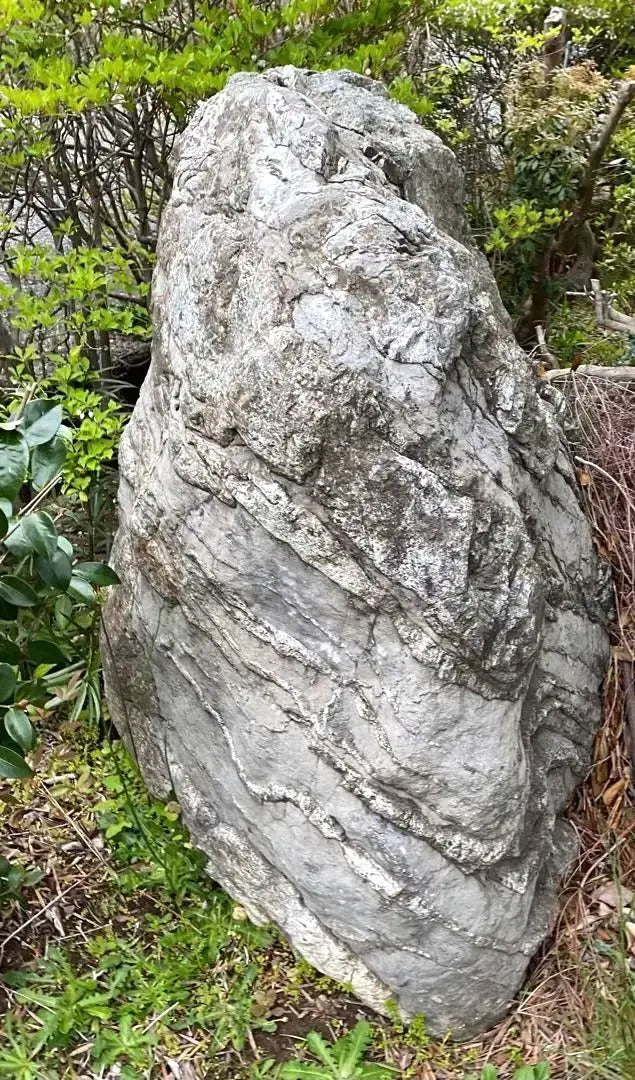 Piedra de Jardín Piedra Natural Grande Gris Aproximadamente 150 × 80 × 100㎝ | 庭石 自然石 大きめ グレー 約150×80×100㎝【石川県引き取り限定】