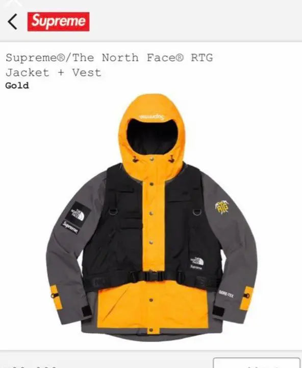 Supreme / The North Face RTG jacket＋vest