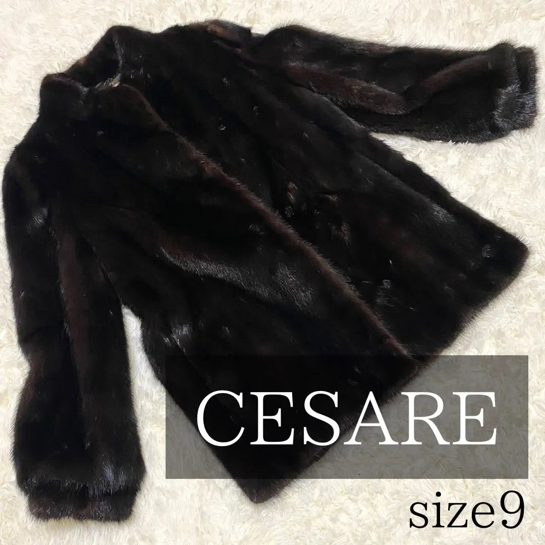 CESARE Fur Coat Fur Dark Brown Middle