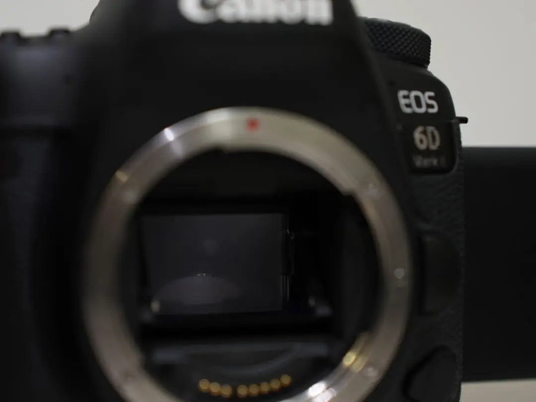 Canon 6D Mark II + Single Focus EF50mm F1.8 STM Battery