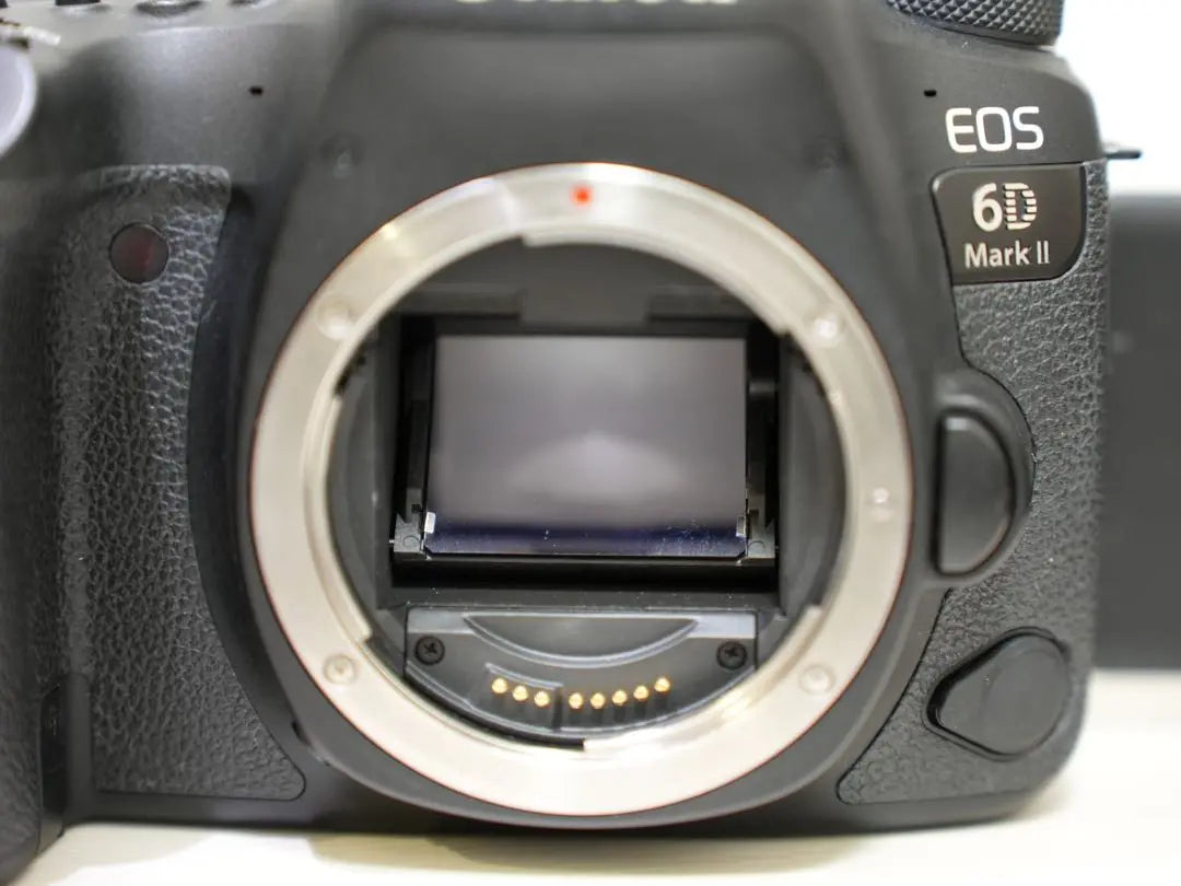 Canon 6D Mark II + Single Focus EF50mm F1.8 STM Battery