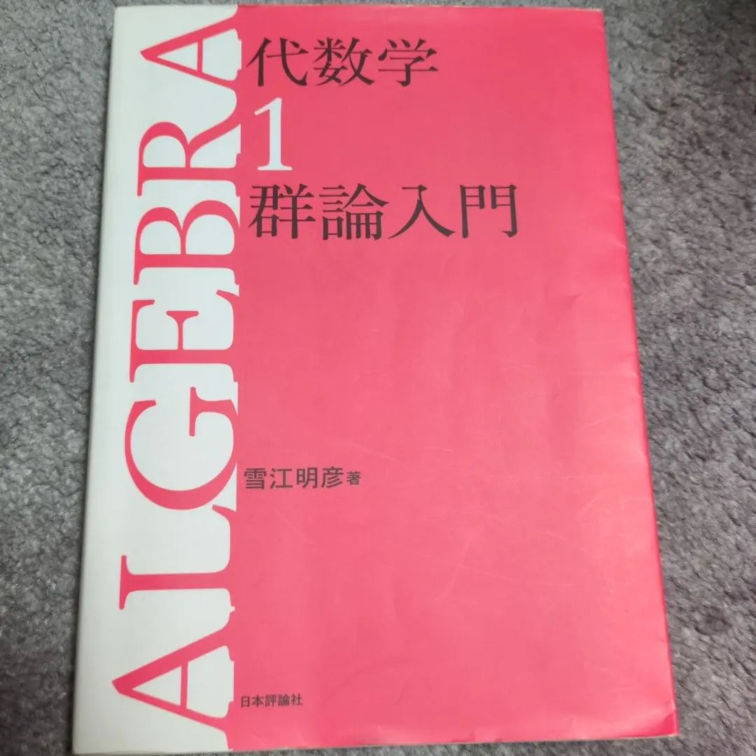 Algebra 1 Introduction to Group Theory by Xue Jiang Mingyan