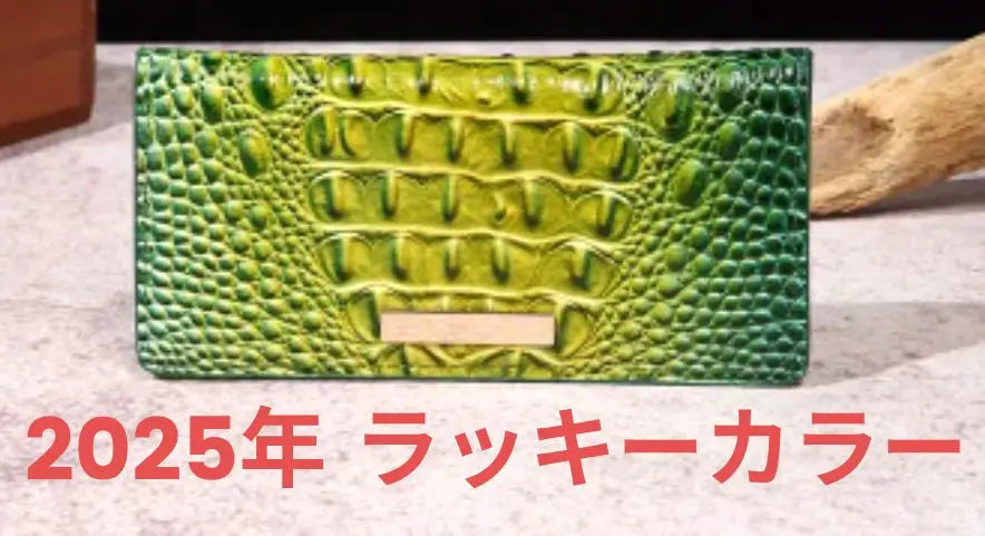 Emerald Green Crocodile Style Long Wallet 19 x 9cm★New, Unused, Vivid★