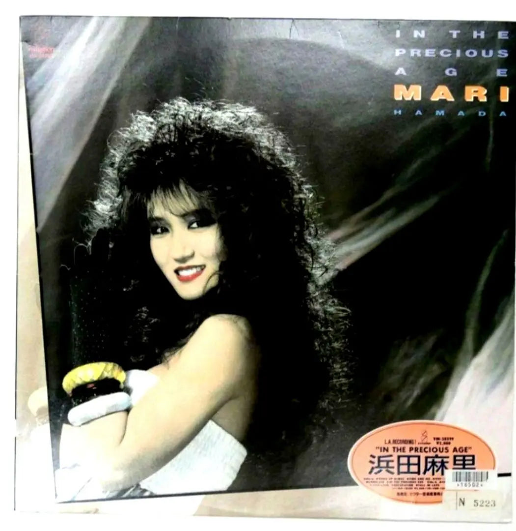 Mari Hamada/“EN LA ERA PRECIOSA”