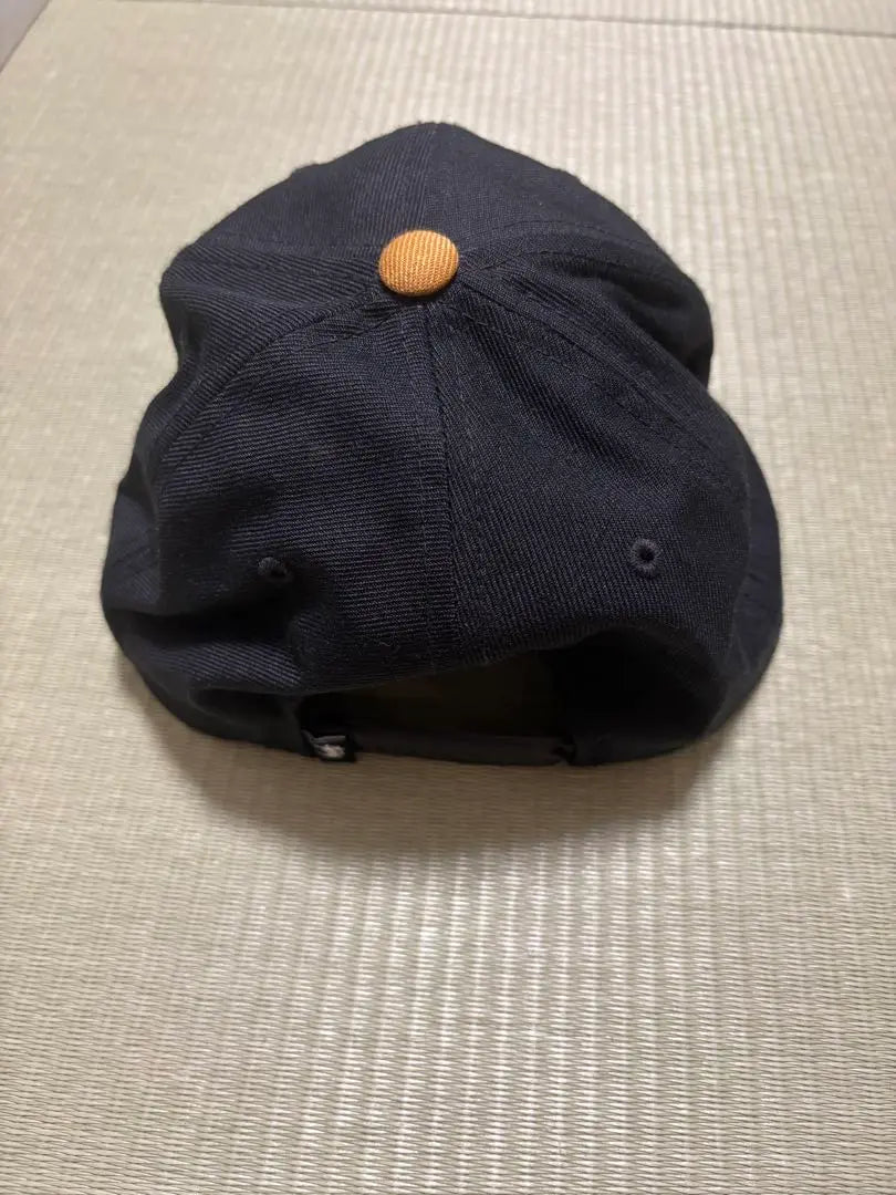 Stussy cap