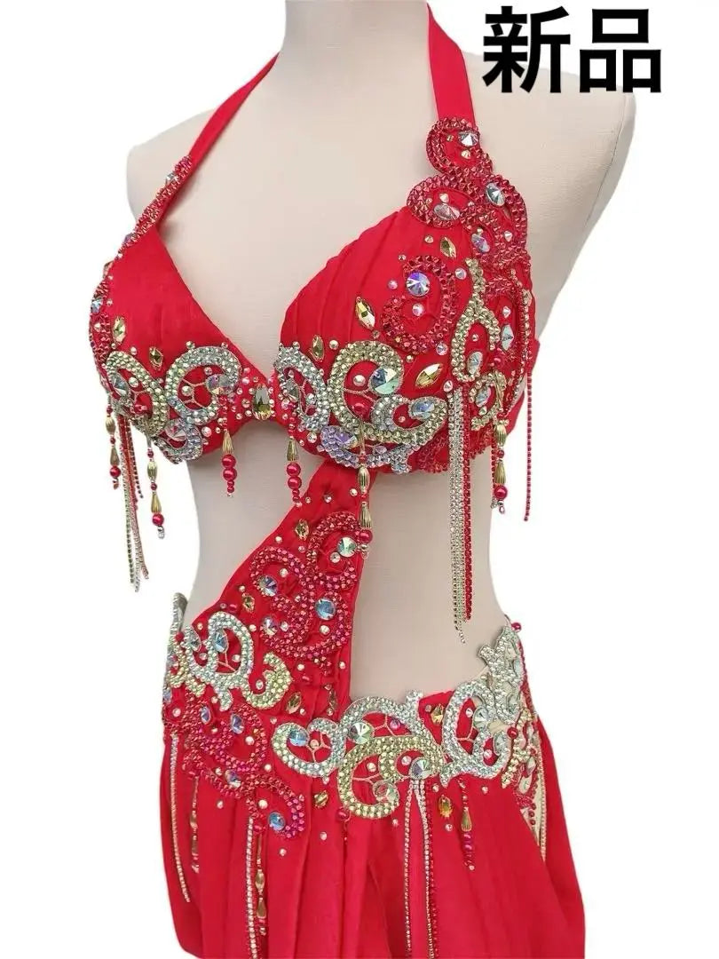 Belly dance costume