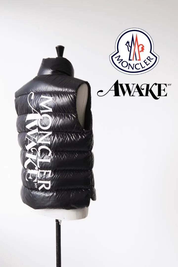 19AW MONCLER × Awake PARKER Down Vest