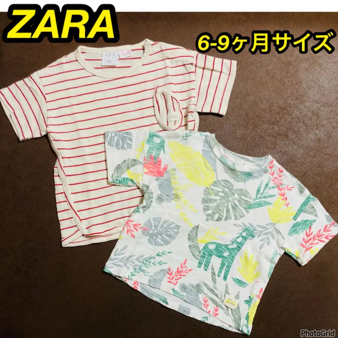 Conjunto de 2 camisetas ZARA, talla 6-9 meses, manga corta, animal rayas, color blanco