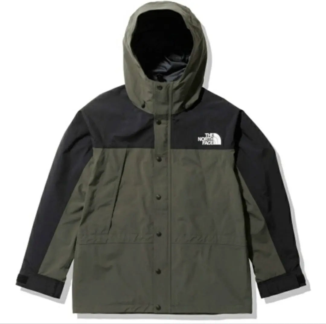 THE NORTH FACE GORE-TEX Mountain Parka