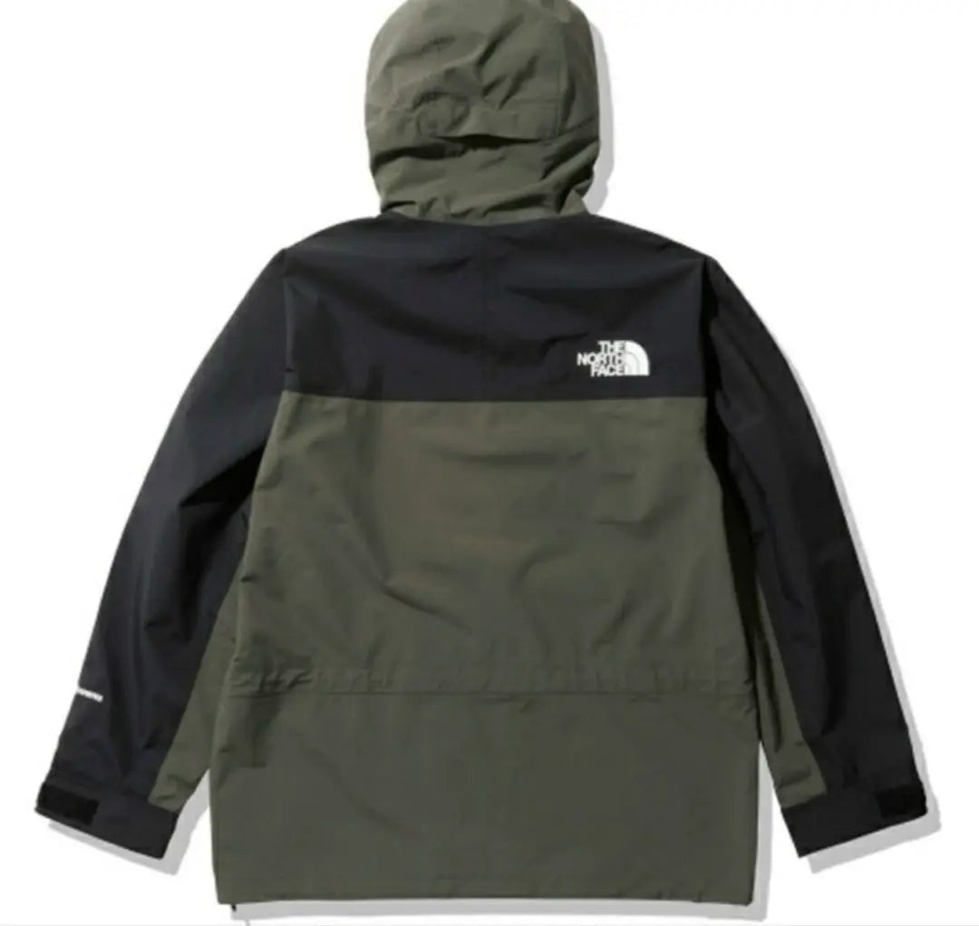 THE NORTH FACE GORE-TEX Mountain Parka