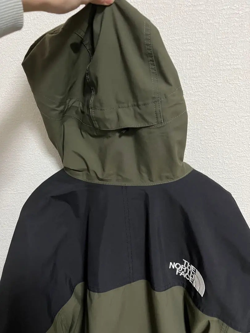 THE NORTH FACE GORE-TEX Mountain Parka