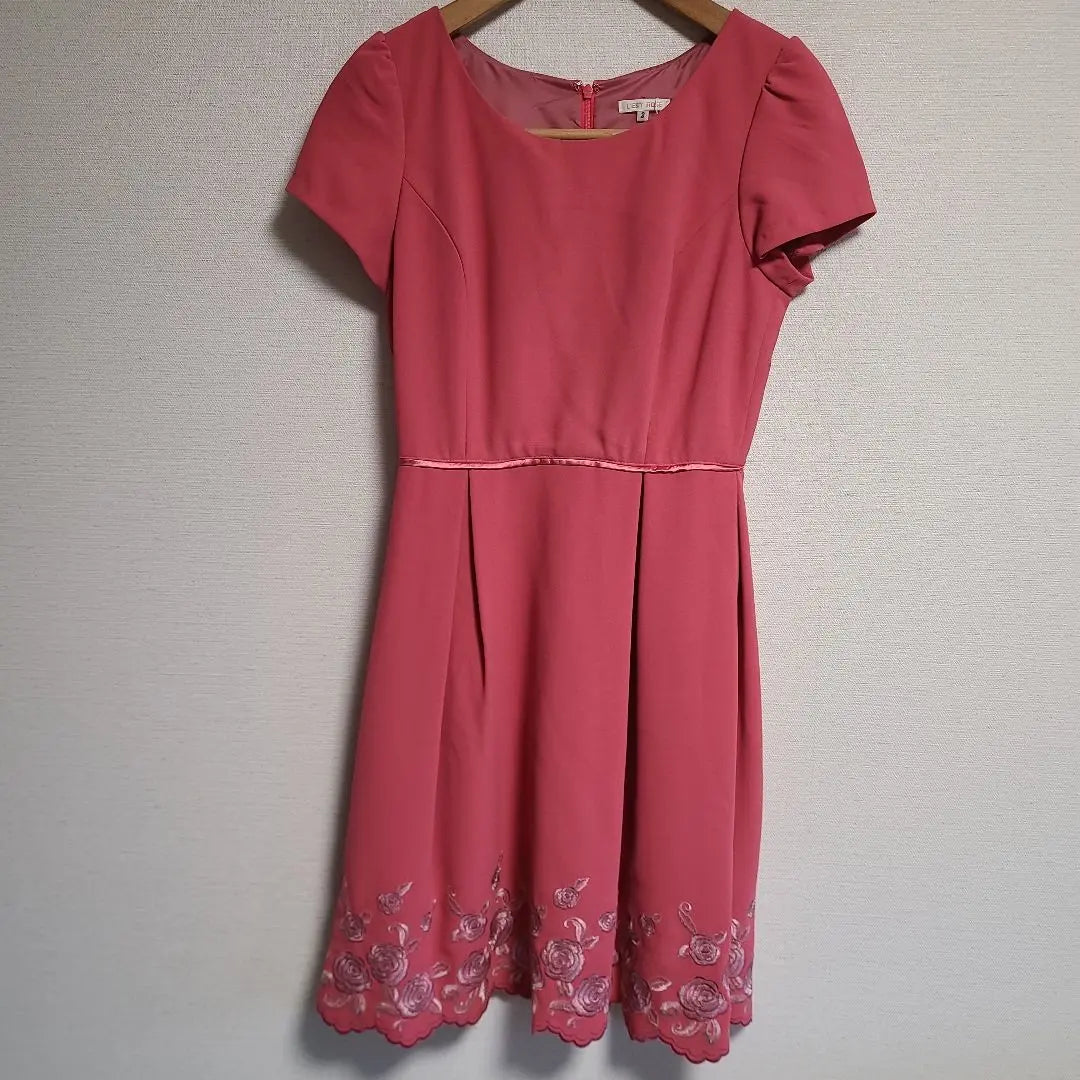 Lest Rose Dress, Floral Embroidery, Wedding Party Dress, Beautiful Condition, Short Sleeve