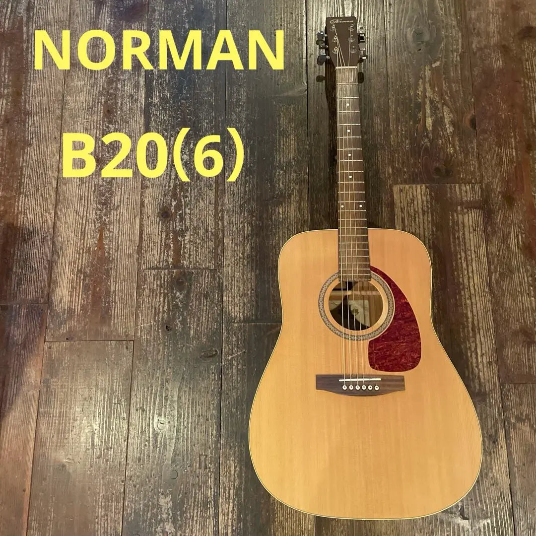 Good condition Norman acoustic guitar B20 (6)