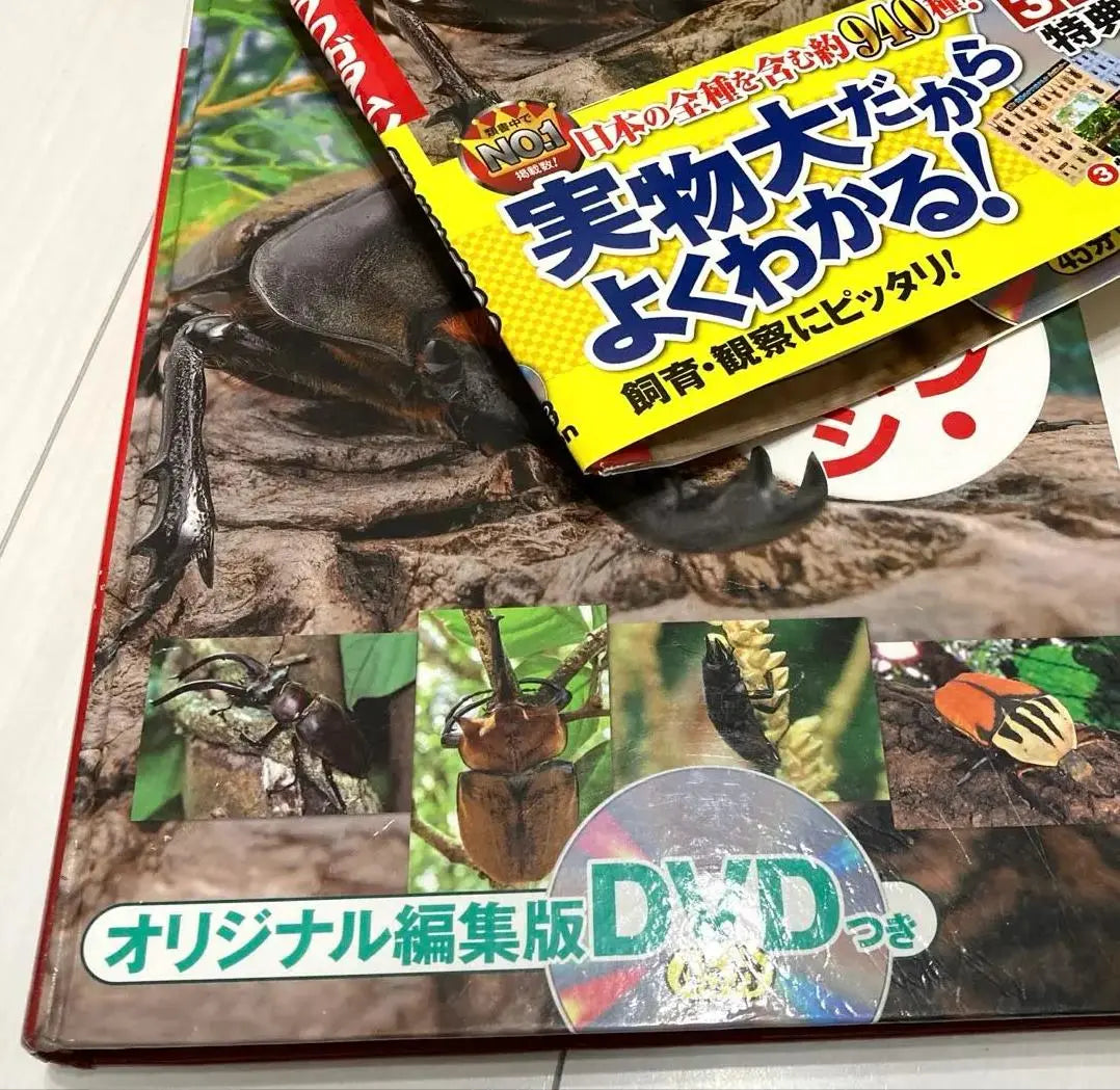 DQ TV Gakken Picture Book Beetles and Stag Beetles OI XL