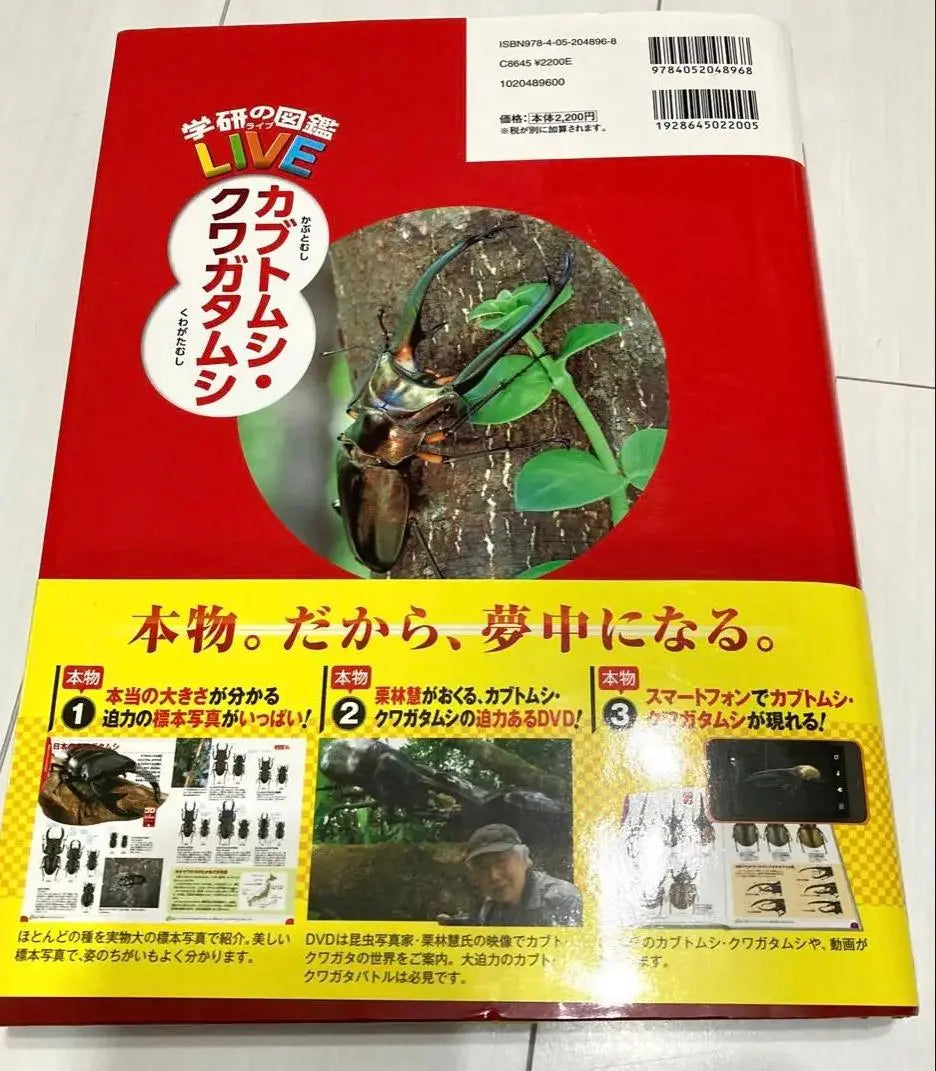 DQ TV Gakken Picture Book Beetles and Stag Beetles OI XL