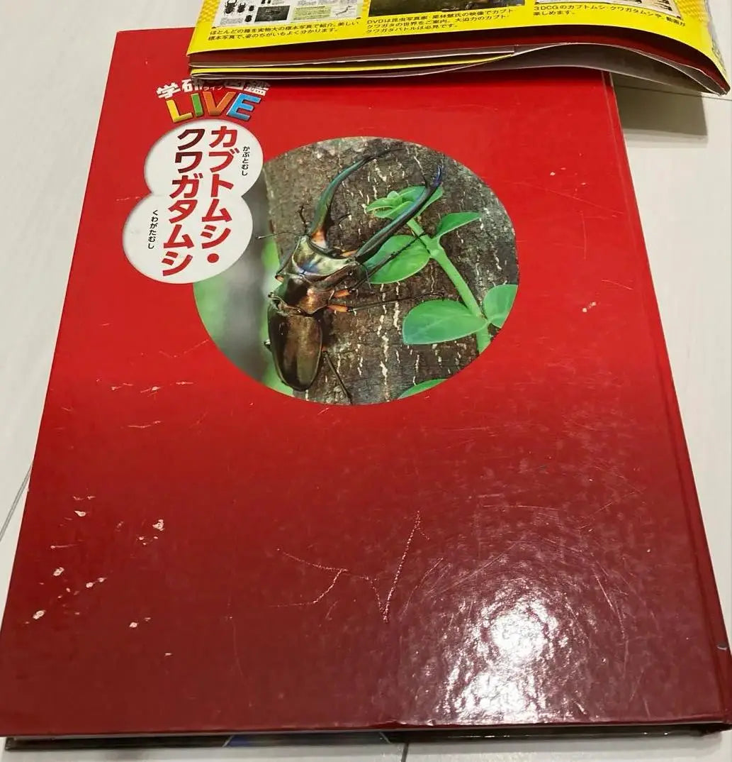 DQ TV Gakken Picture Book Beetles and Stag Beetles OI XL