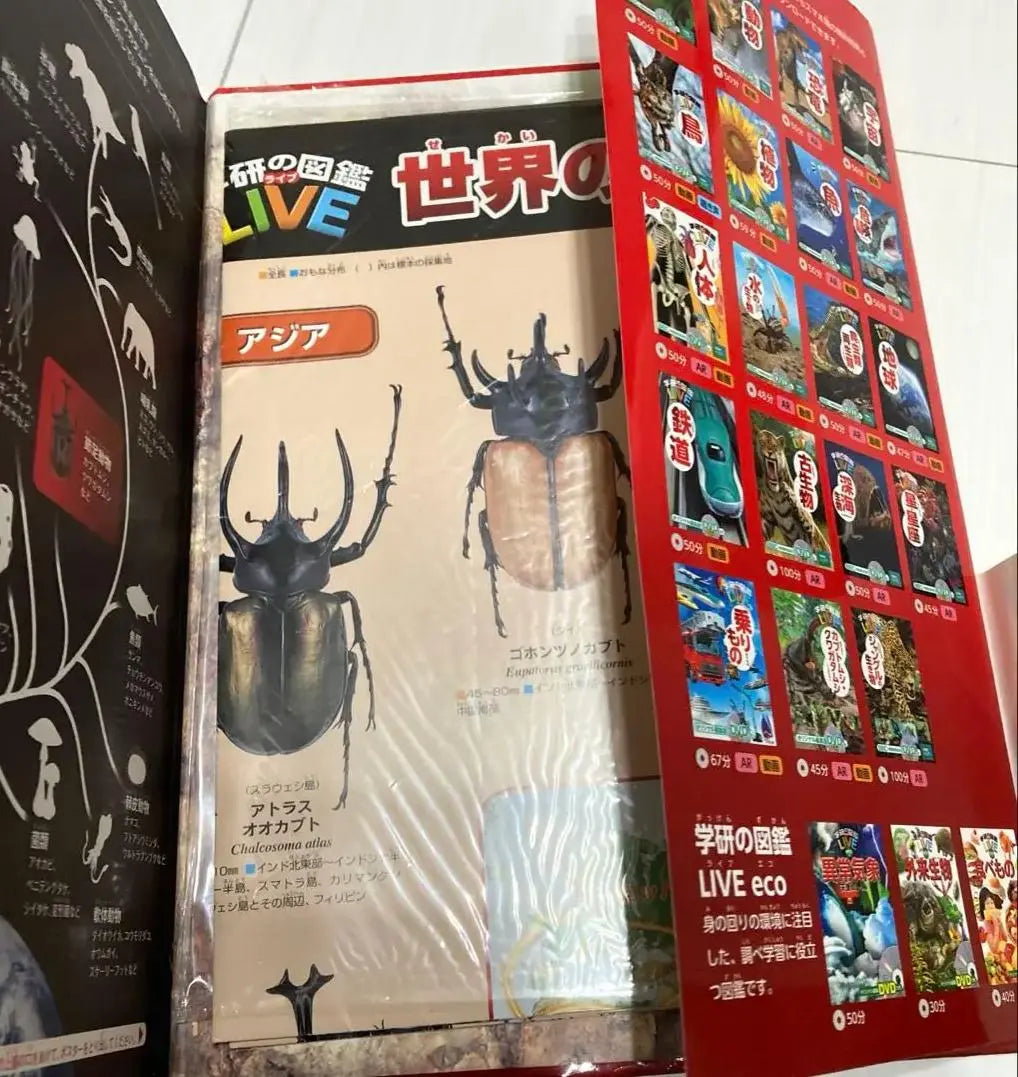 DQ TV Gakken Picture Book Beetles and Stag Beetles OI XL