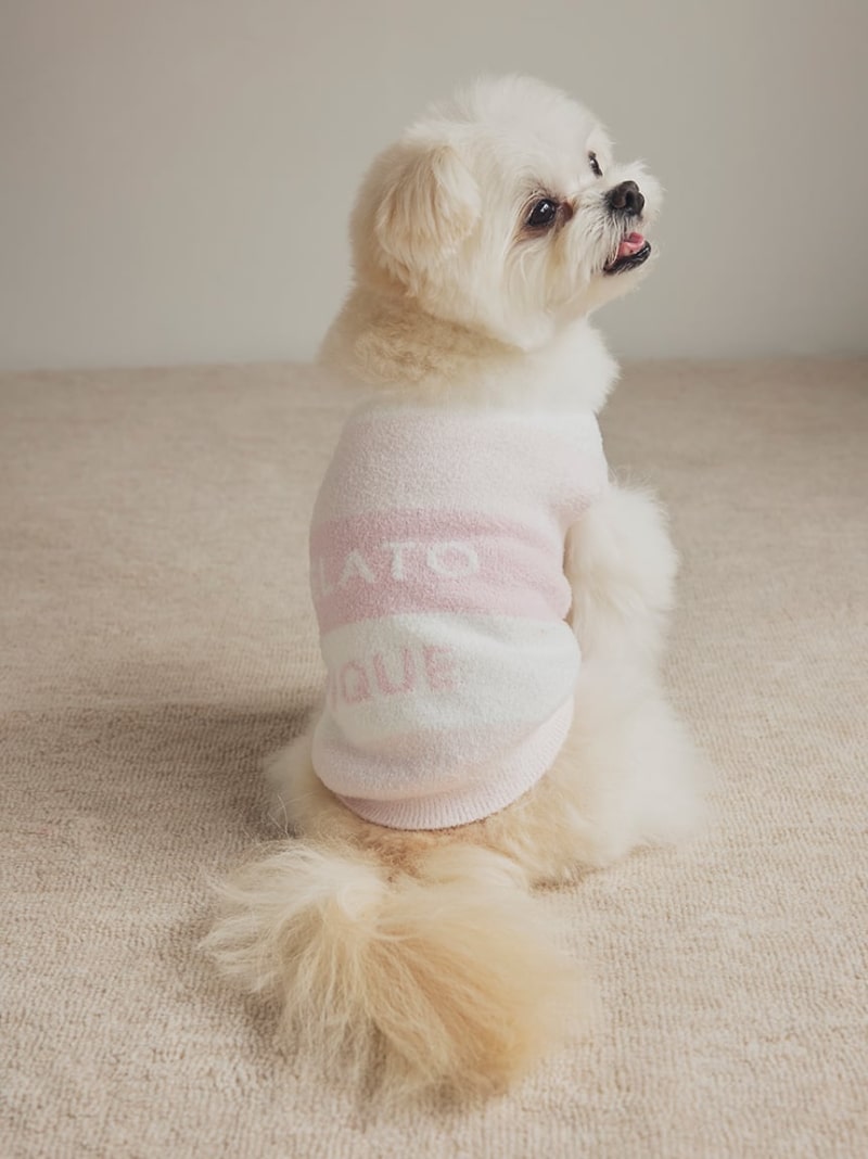 [SALE/30% OFF] [CAT&DOG] Smooth lite3 Border Sleeveless Pullover GELATO PIQUE CAT&DOG Gelato Pique Pet Supplies Pet Wear/Pet Clothing Pink White Blue [RBA_E] [Rakuten Fashio