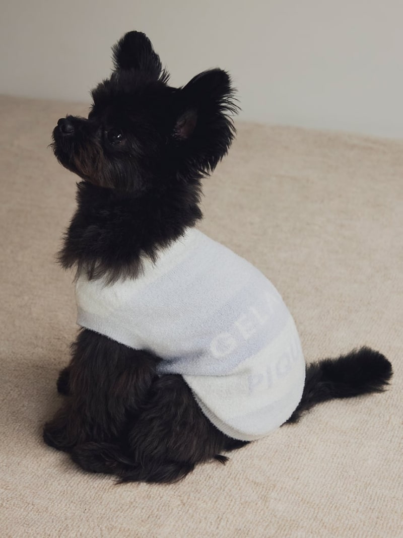 [SALE/30% OFF] [CAT&DOG] Smooth lite3 Border Sleeveless Pullover GELATO PIQUE CAT&DOG Gelato Pique Pet Supplies Pet Wear/Pet Clothing Pink White Blue [RBA_E] [Rakuten Fashio