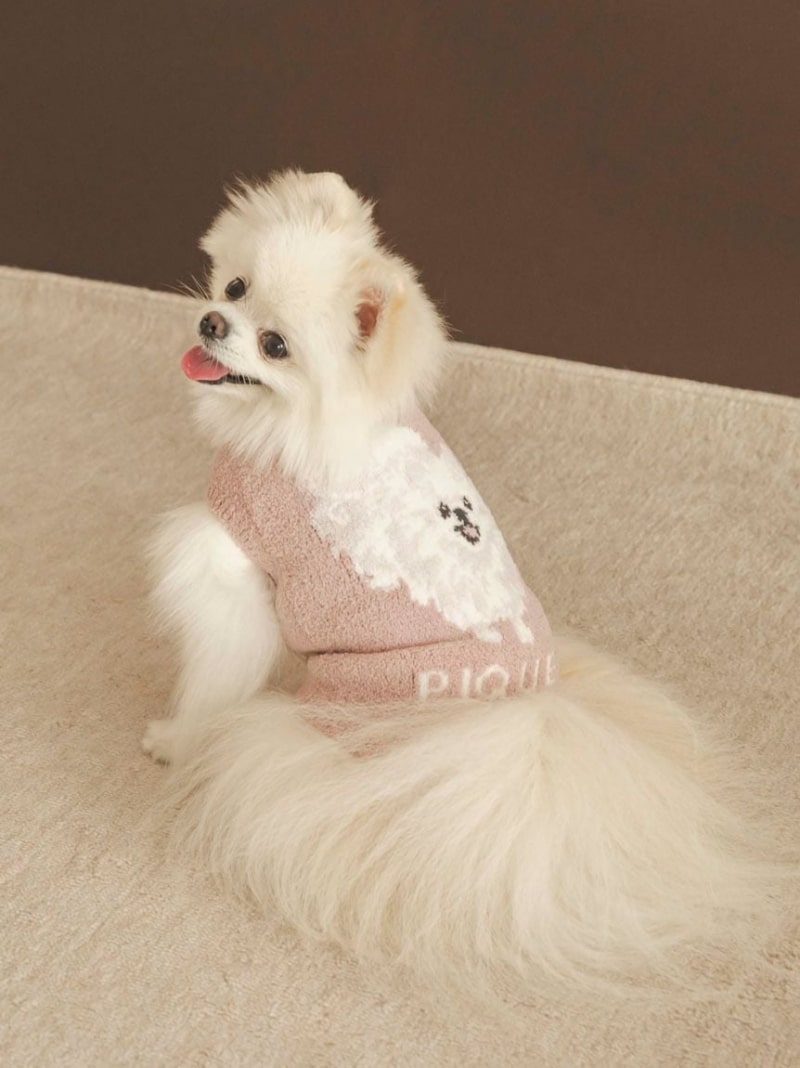 [SALE/30% OFF] [CAT&DOG] Baby Moko Pomeranian Jacquard Pullover GELATO PIQUE CAT&DOG Gelato Pique Pet Supplies Pet Wear/Pet Clothing Pink Red White [RBA_E] [Free Shipping] [Raku