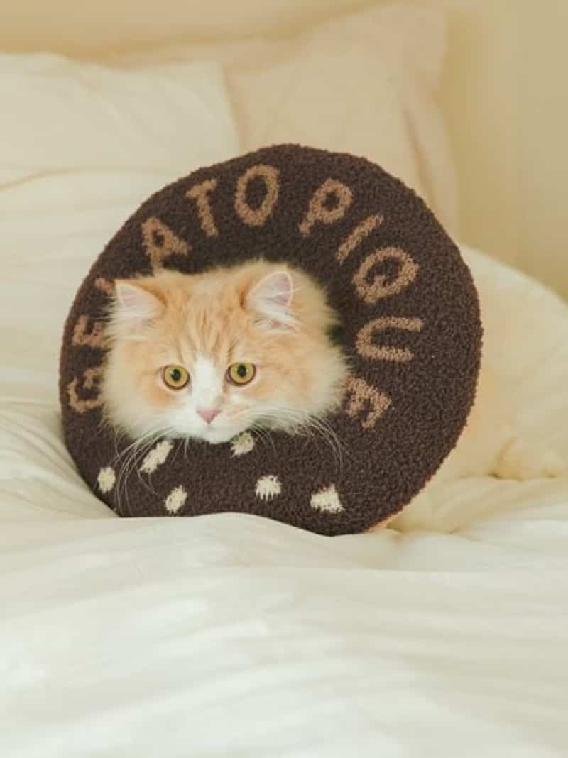 [CAT&DOG] Baby Moko Donut Color GELATO PIQUE CAT&DOG Gelato Pique Pet Supplies Other Pet Supplies [Free Shipping] [Rakuten Fashion]