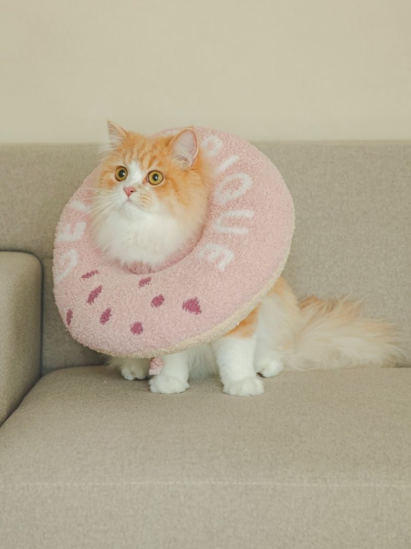 [CAT&DOG] Baby Moko Donut Color GELATO PIQUE CAT&DOG Gelato Pique Pet Supplies Other Pet Supplies [Free Shipping] [Rakuten Fashion]