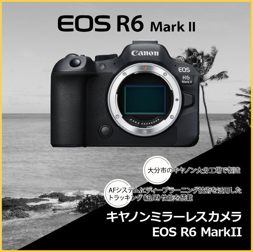 [Donación de impuestos de la ciudad natal] Cámara sin espejo Canon EOS R6 Mark II/RF24-105 L IS USM Kit de lentes Electrodomésticos Foto Video Seguimiento genuino Cámara Canon sin espejo de lente única Fotografía sin espejo 24,2 millones de píxeles