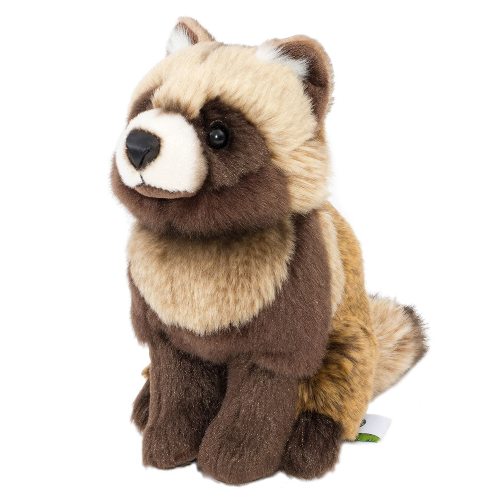 Hondo raccoon stuffed animal real animal baby Hondo tanuki | Zoo Christmas present birthday Christmas present Japan elementary school children fluffy toys animals real animal �