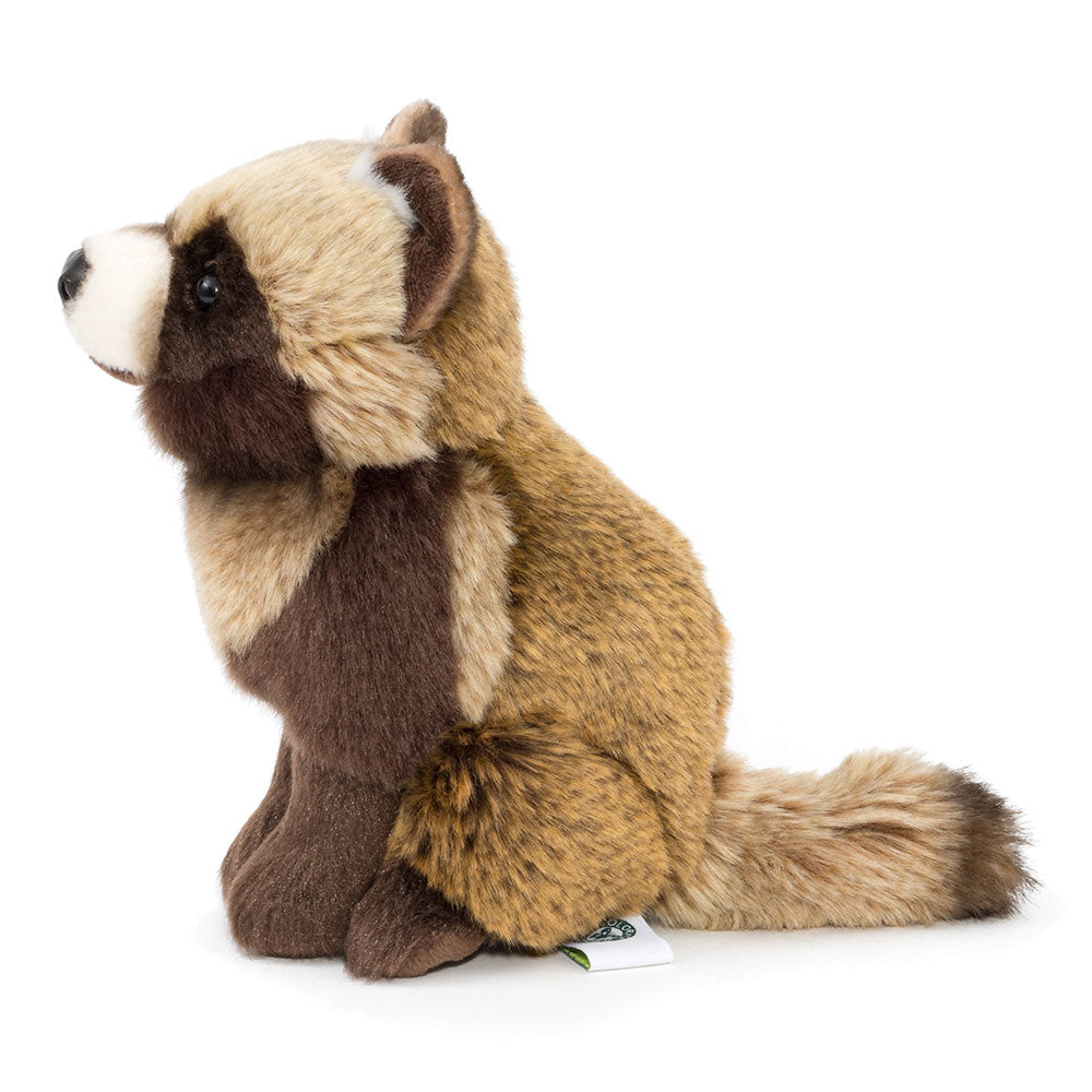 Hondo raccoon stuffed animal real animal baby Hondo tanuki | Zoo Christmas present birthday Christmas present Japan elementary school children fluffy toys animals real animal �