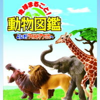 The whole world! Animal Encyclopedia Welcome! Wild Africa Wild Candy Toy Rement (Full Comp Set of 8 Species) [Ready to Deliver]