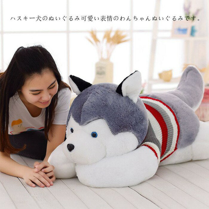 Plush toy Husky 50CM/70CM/90CM/110CM/150CM/170CM Body pillow Husky dog goods Extra large Large toy Animal plush toy Child pig interior body pillow Super soft Children Gift for women Chrisma